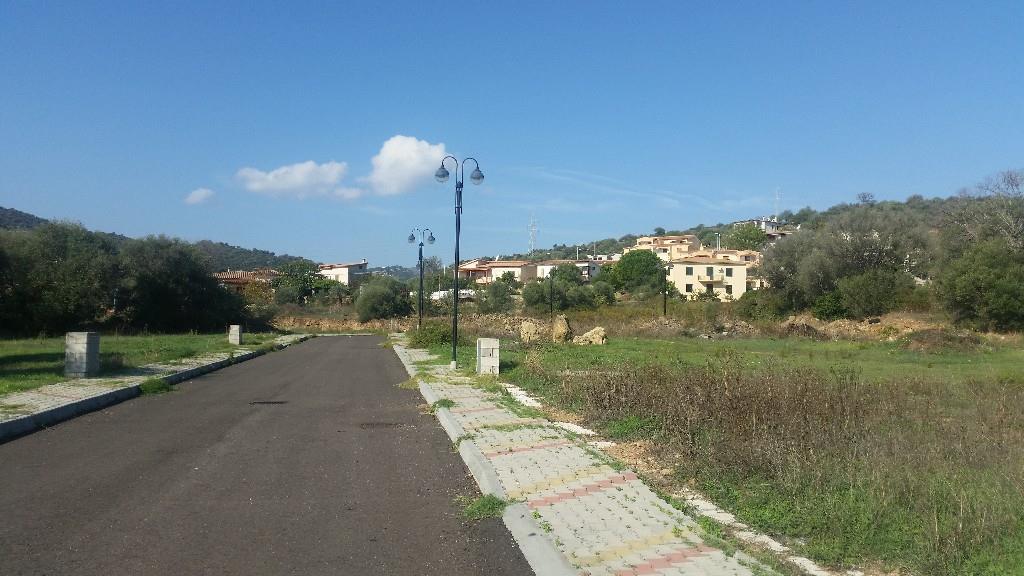 immagine annuncio 4 di 6