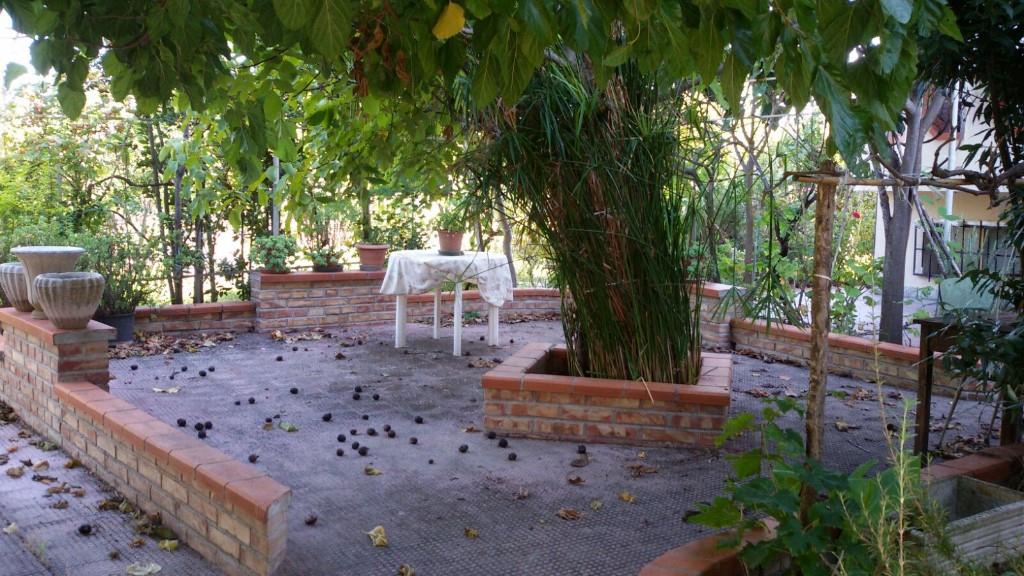 immagine annuncio 3 di 7