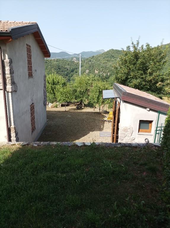immagine annuncio 5 di 7