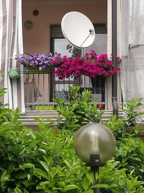 immagine annuncio 2 di 3