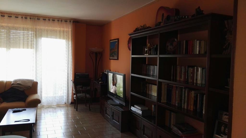 immagine annuncio 1 di 7