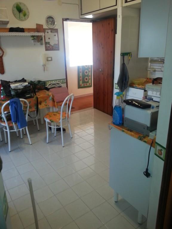 immagine annuncio 3 di 7