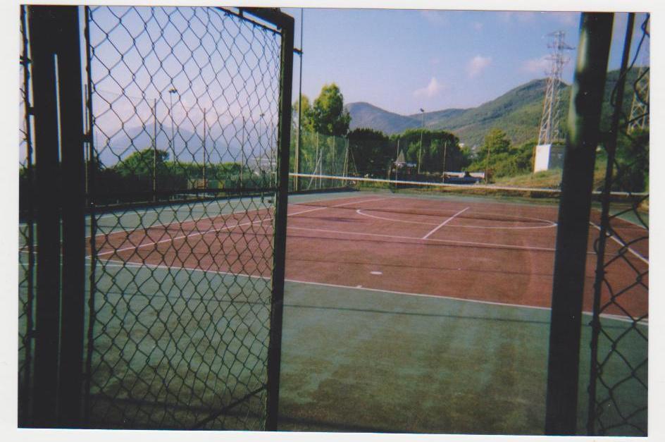 immagine annuncio 4 di 7