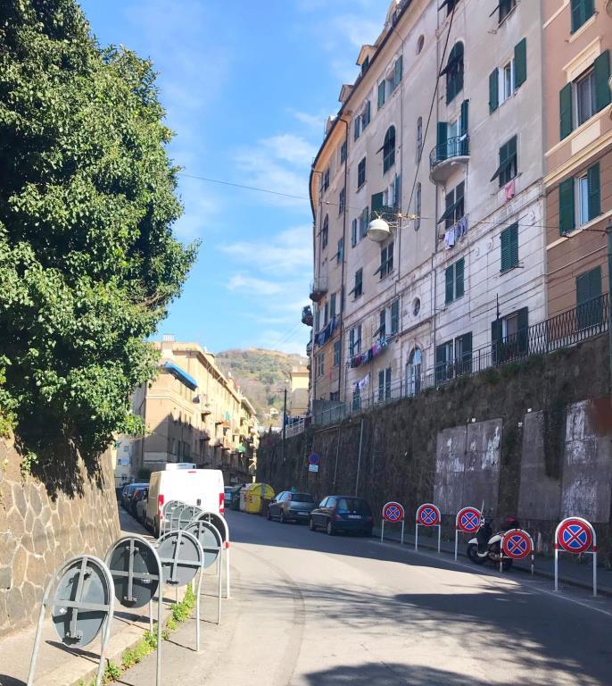 immagine annuncio 3 di 7