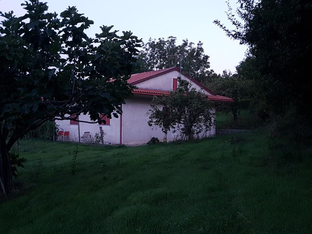 immagine annuncio 5 di 6