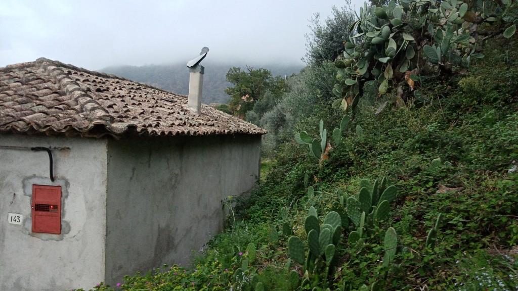 immagine annuncio 3 di 7