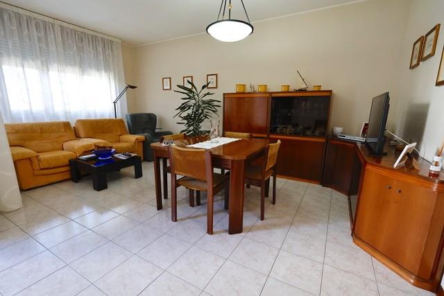 immagine annuncio 1 di 7