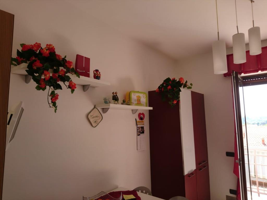 immagine annuncio 3 di 7