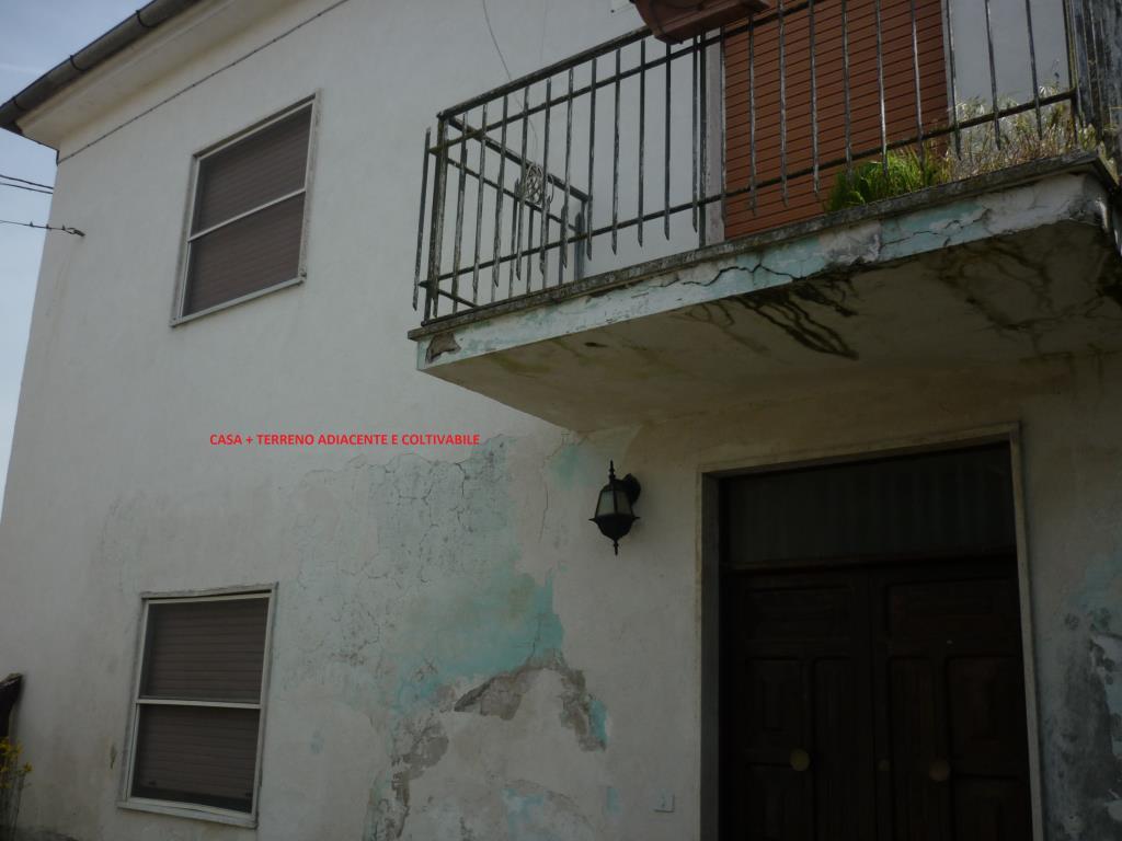 immagine annuncio 2 di 3