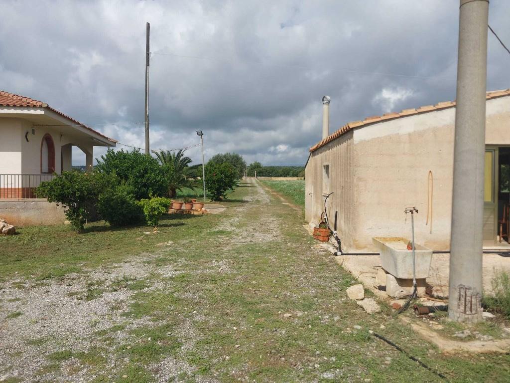 immagine annuncio 5 di 7