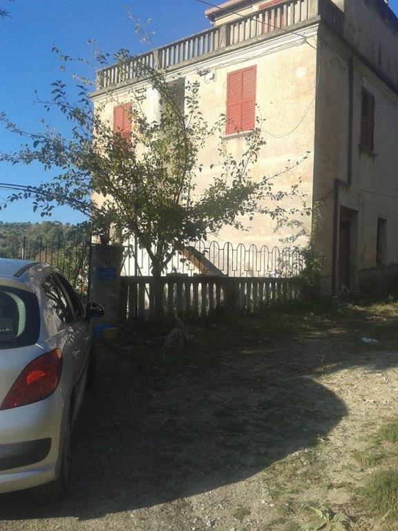 immagine annuncio 3 di 7