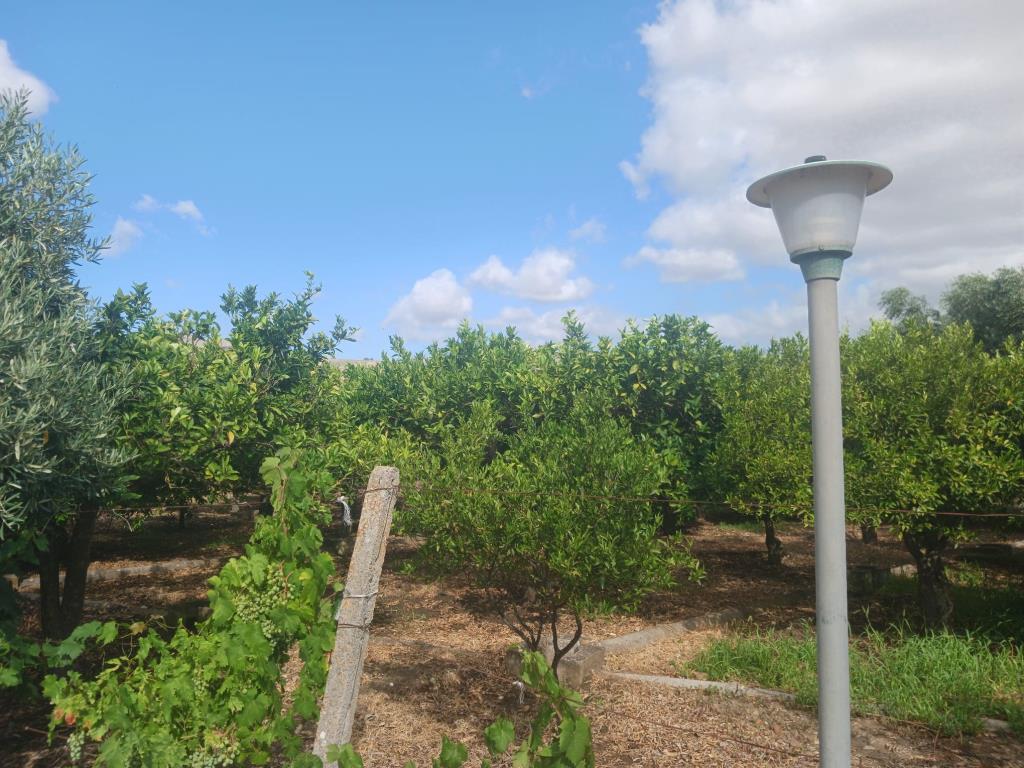 immagine annuncio 3 di 7