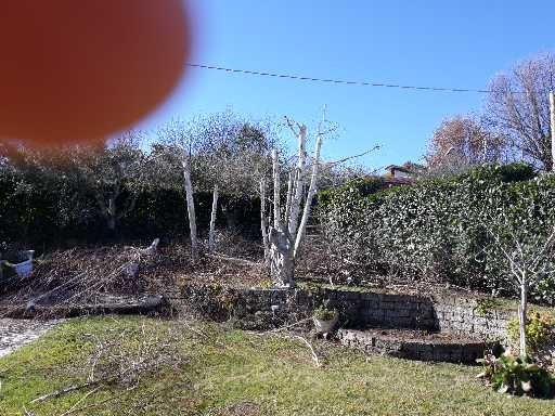 immagine annuncio 2 di 7
