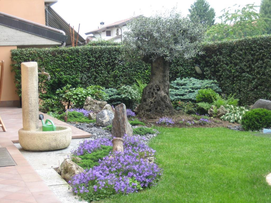 immagine annuncio 1 di 4