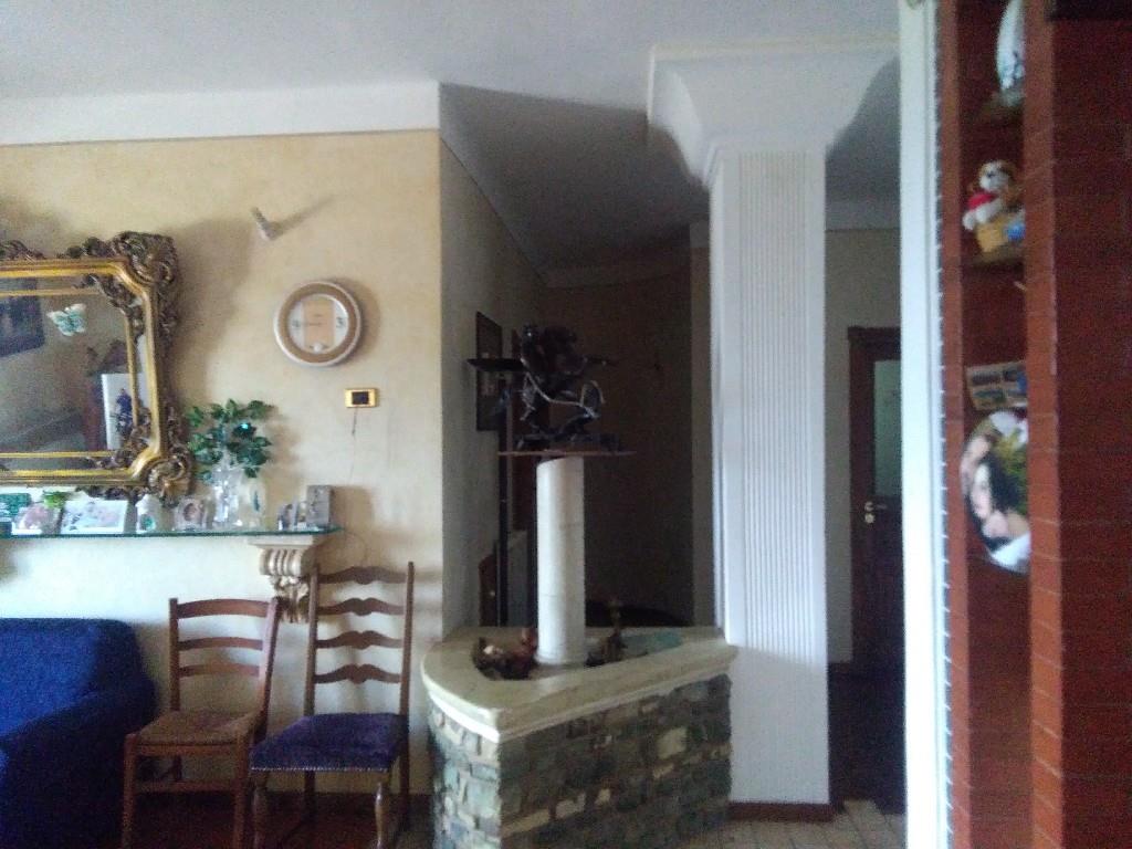 immagine annuncio 1 di 7