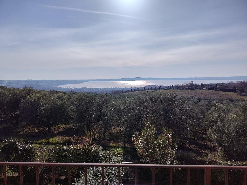 immagine annuncio 5 di 7