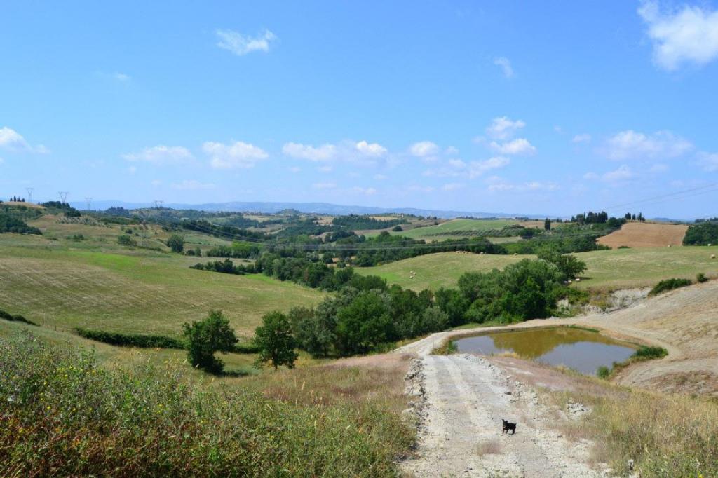 immagine annuncio 4 di 7