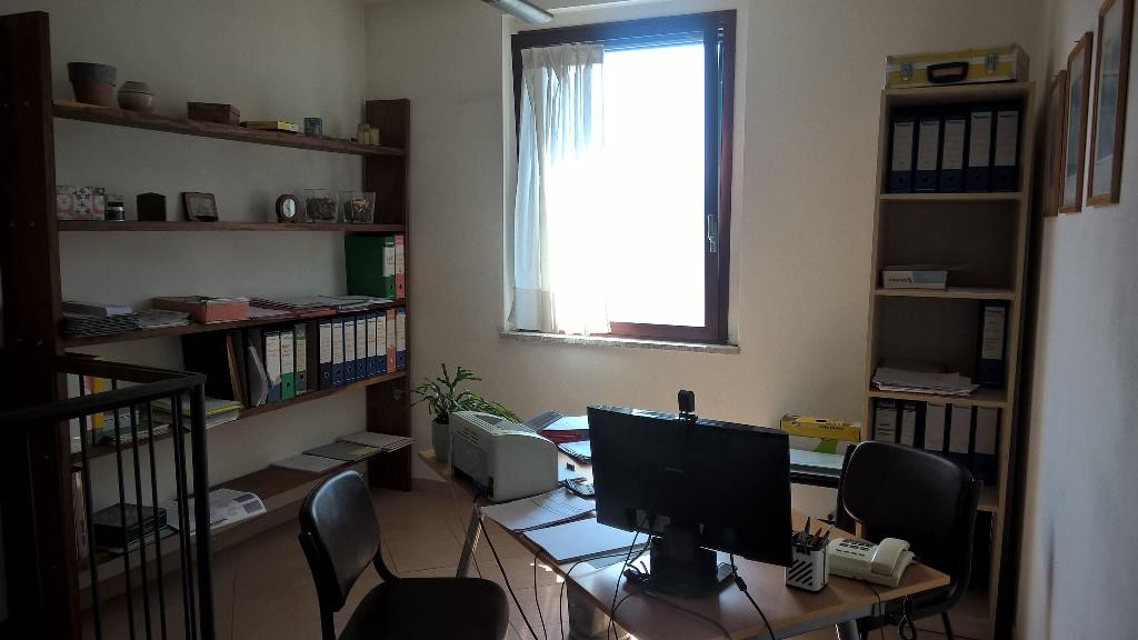 immagine annuncio 2 di 7