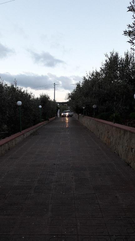 immagine annuncio 6 di 7
