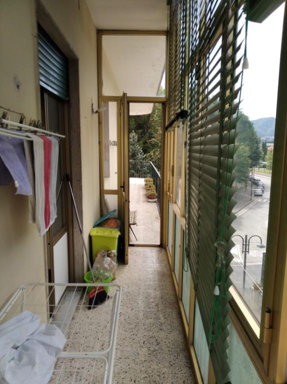 immagine annuncio 1 di 7