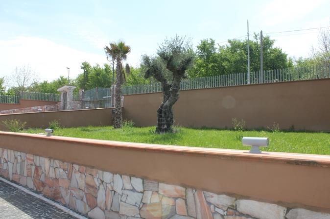 immagine annuncio 5 di 7