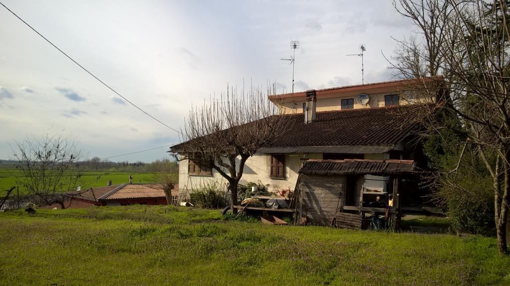 immagine annuncio 2 di 7