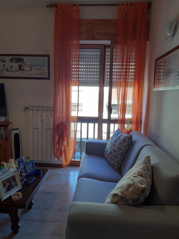immagine annuncio 4 di 7