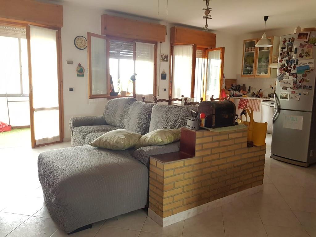 immagine annuncio 2 di 7