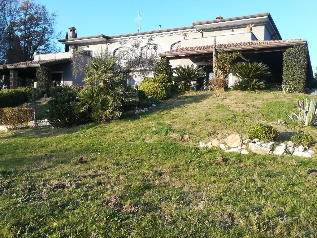 immagine annuncio 3 di 7