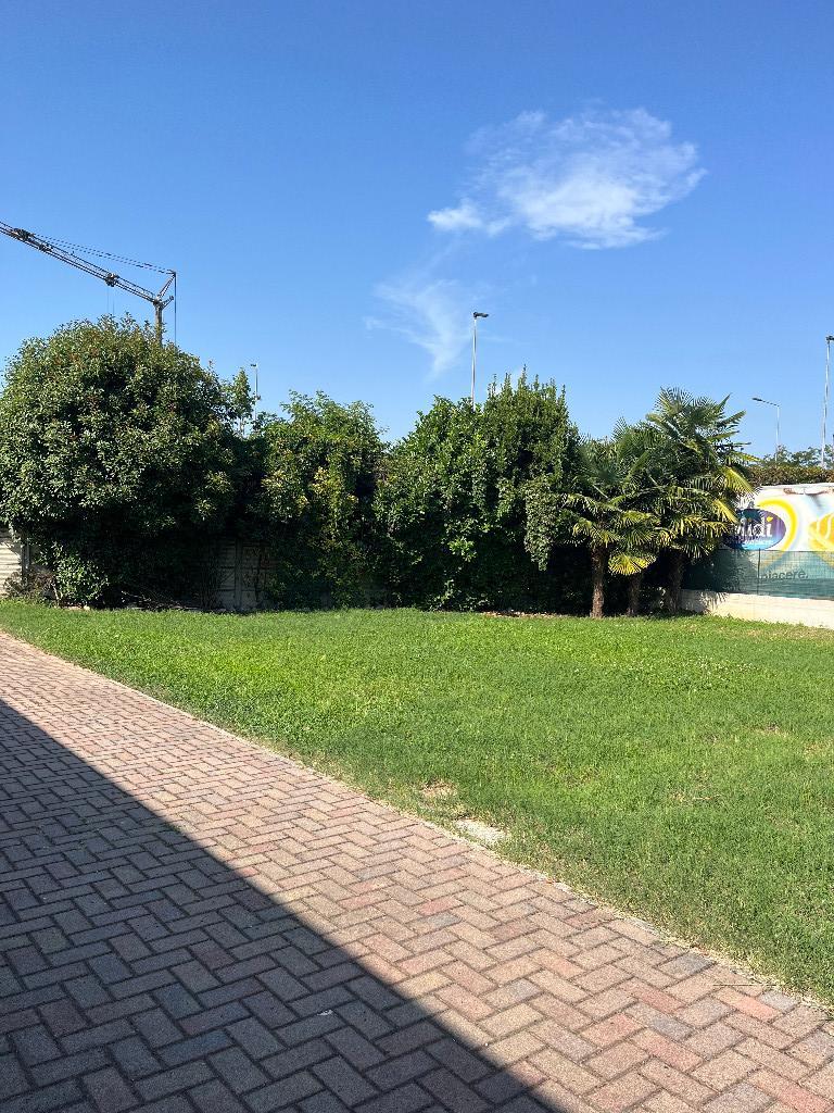 immagine annuncio 6 di 7