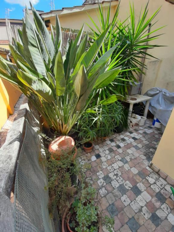 immagine annuncio 4 di 7