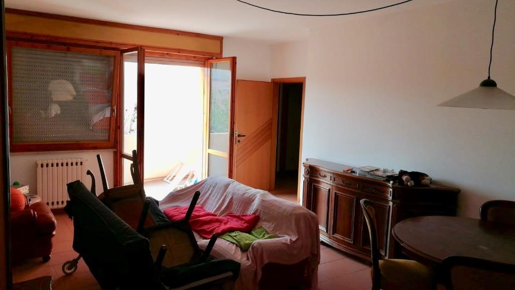 immagine annuncio 3 di 7