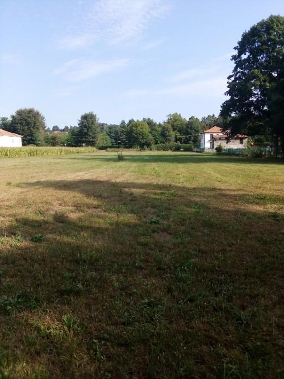 immagine annuncio 4 di 7