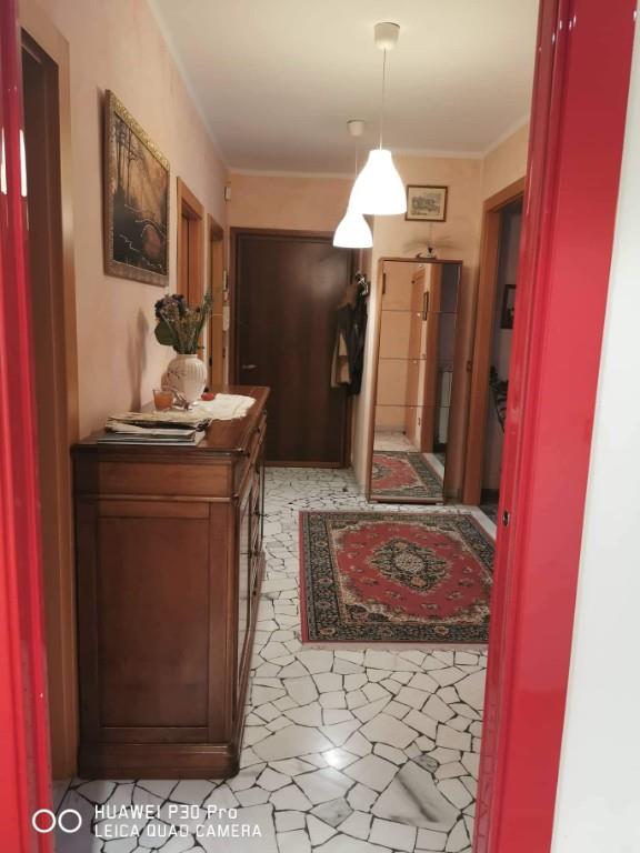 immagine annuncio 4 di 7