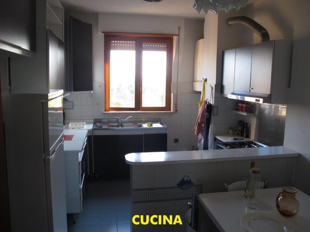 immagine annuncio 2 di 7