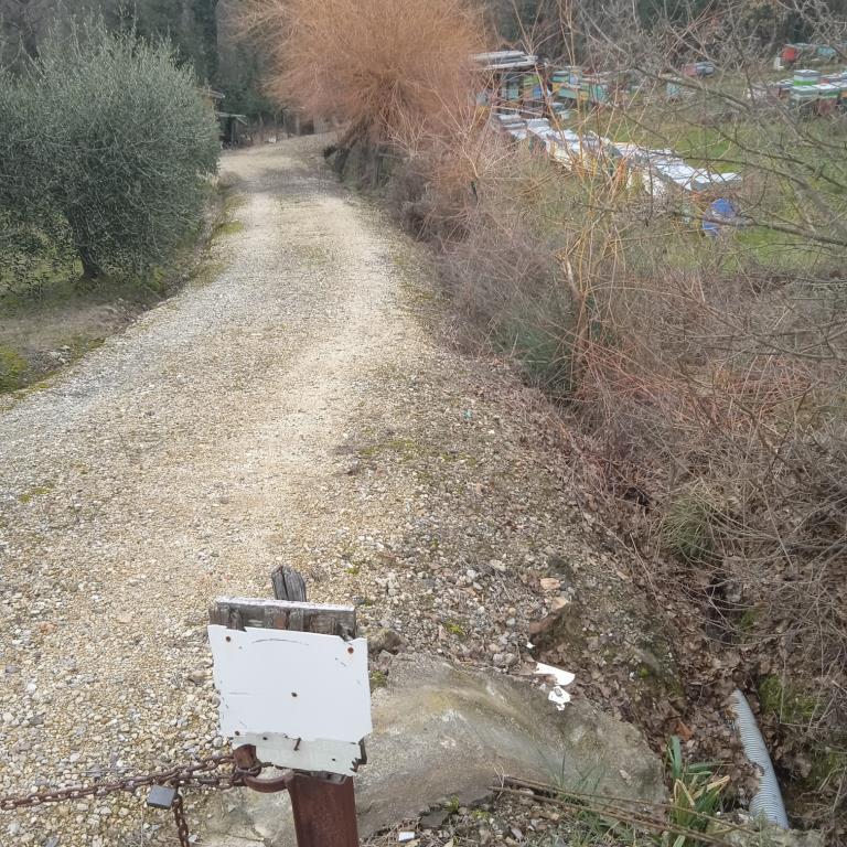 immagine annuncio 4 di 7