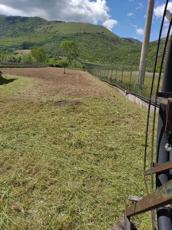 immagine annuncio 2 di 3