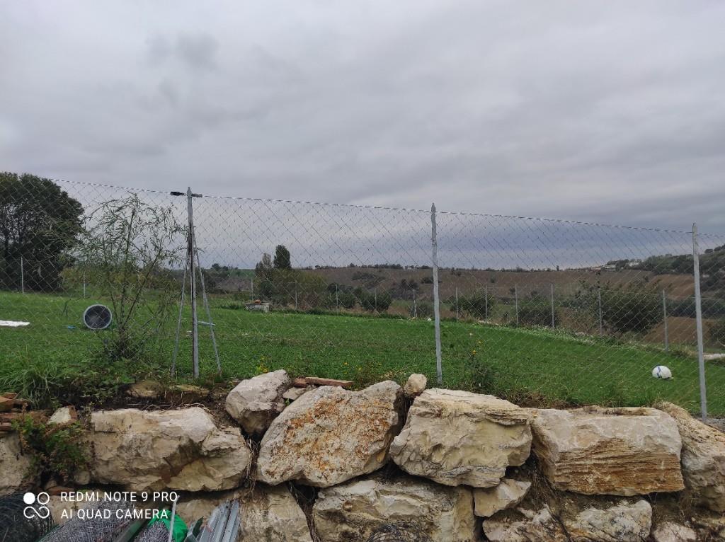 immagine annuncio 3 di 7