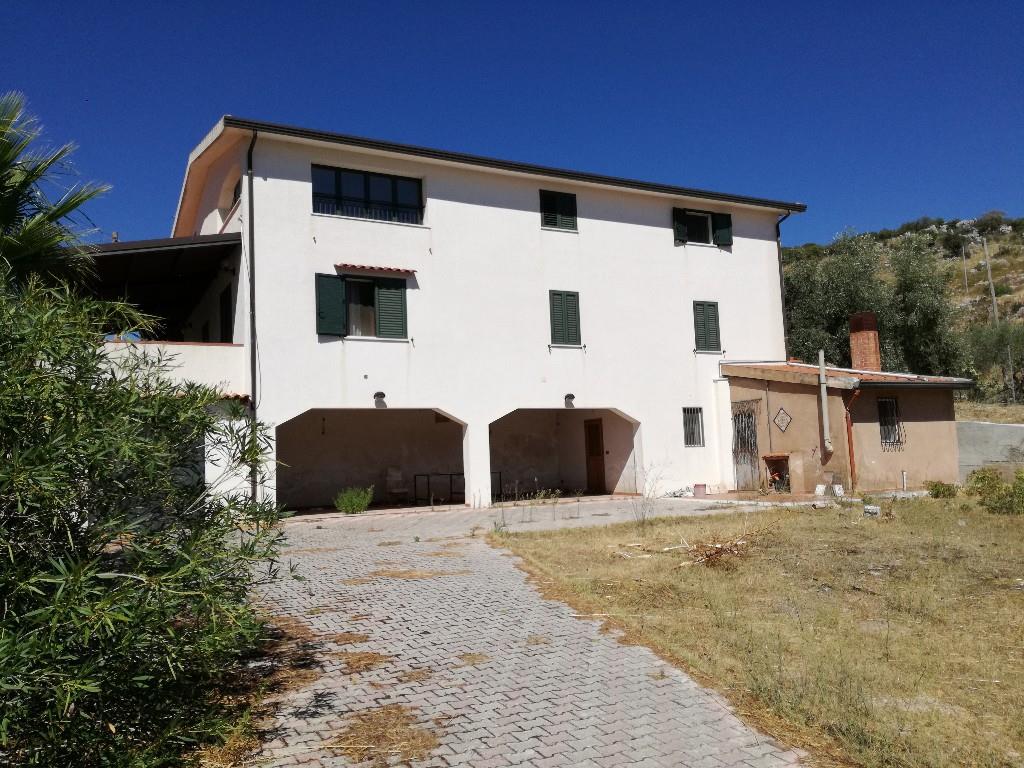 immagine annuncio 6 di 7