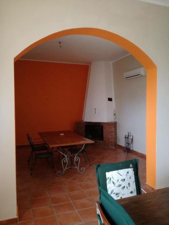 immagine annuncio 2 di 7