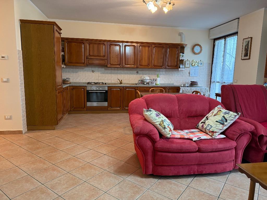 immagine annuncio 6 di 7