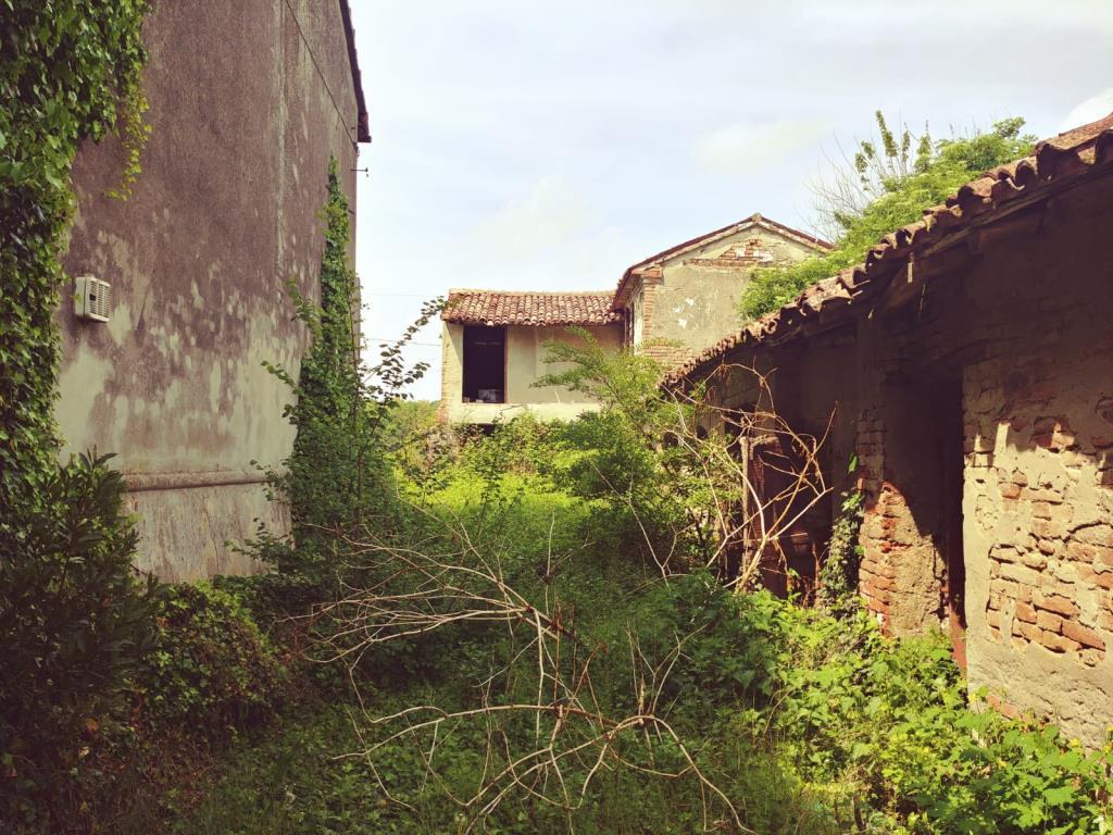 immagine annuncio 5 di 7