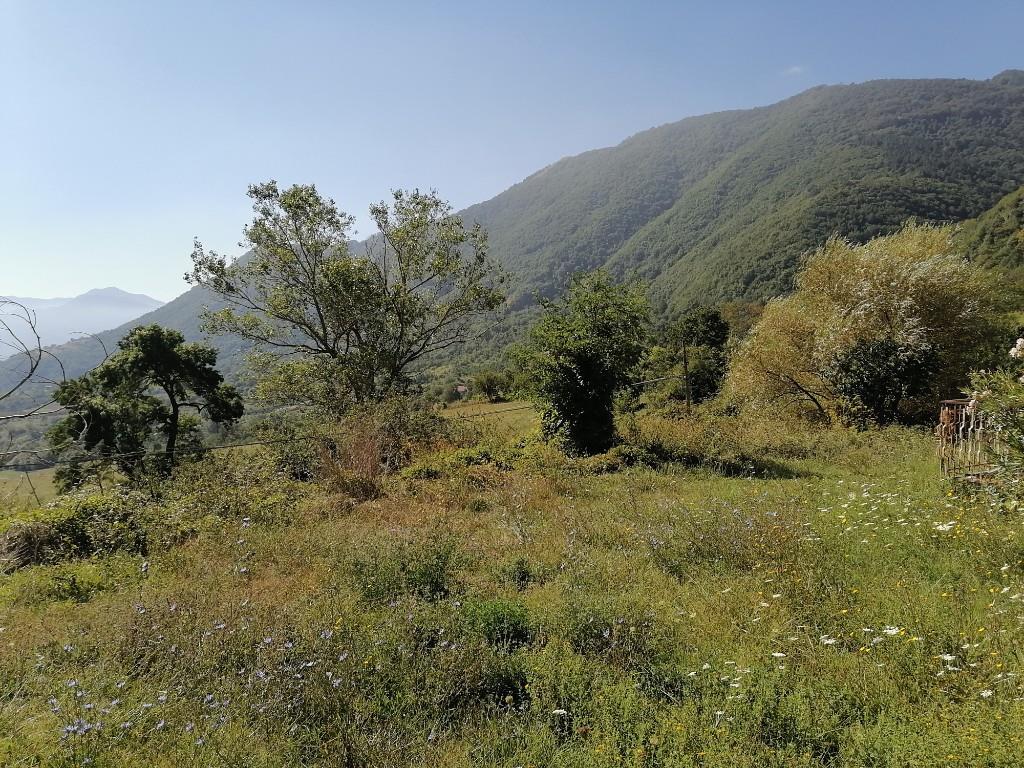 immagine annuncio 5 di 7