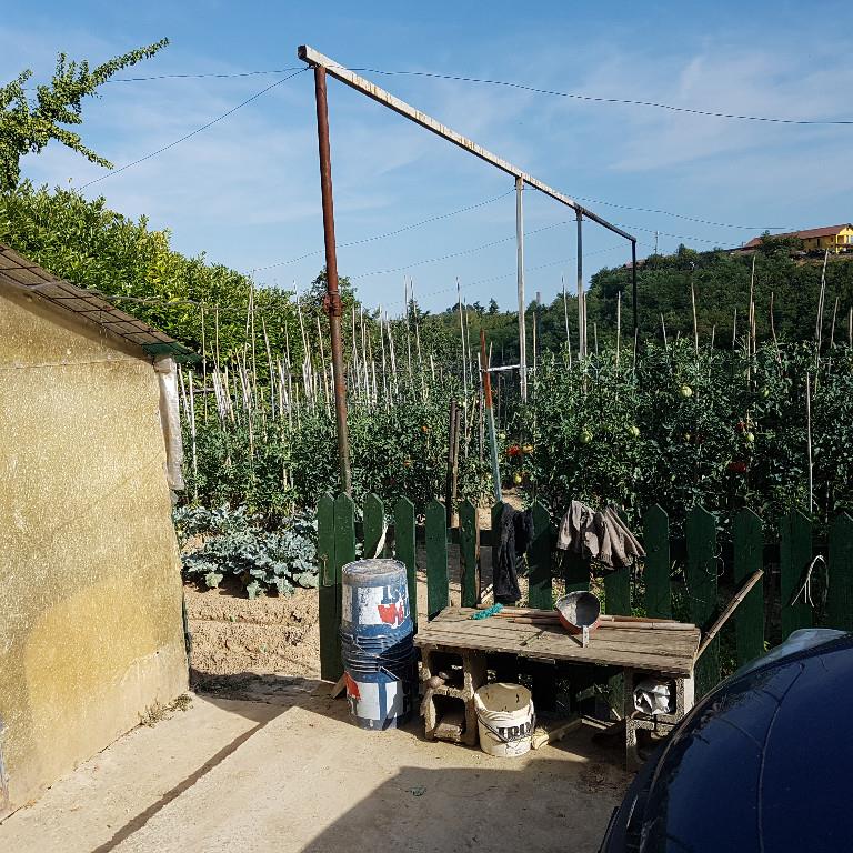 immagine annuncio 1 di 2
