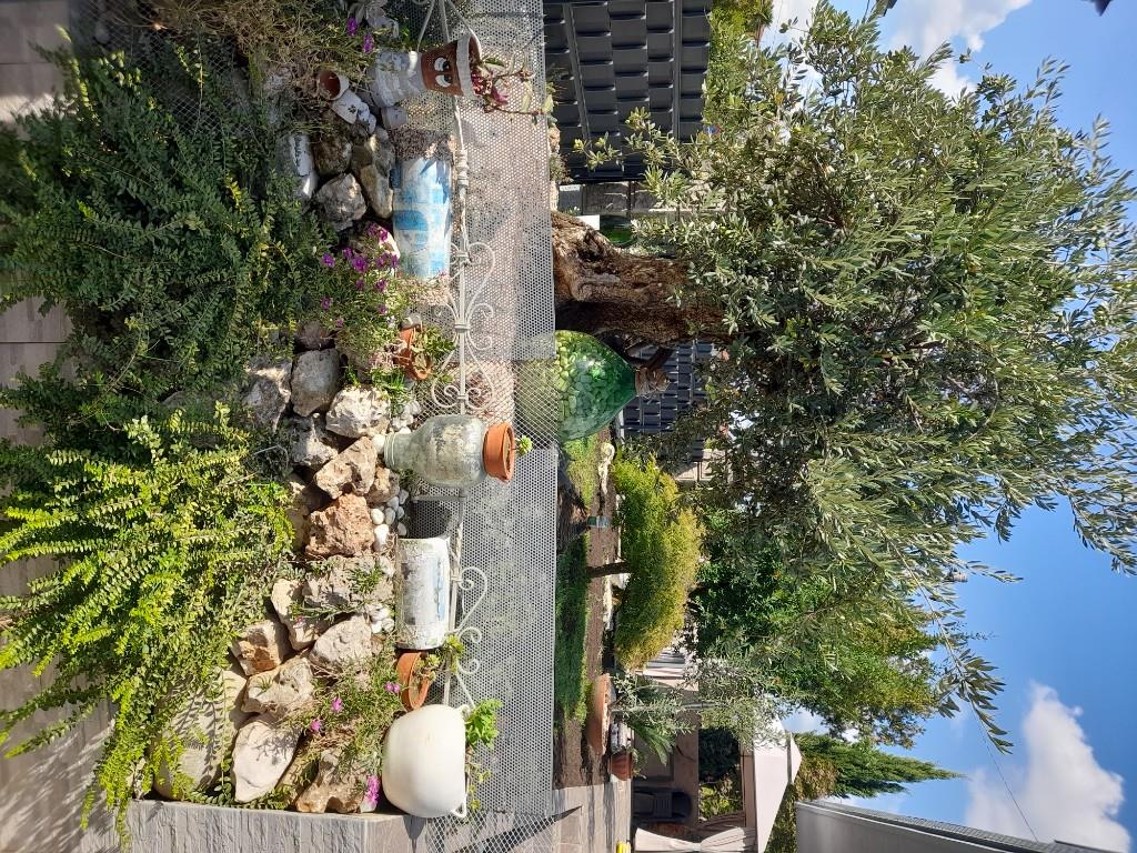 immagine annuncio 3 di 7