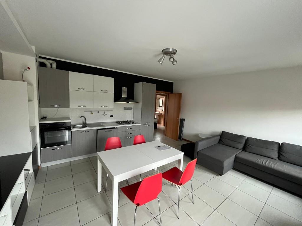 immagine annuncio 2 di 7