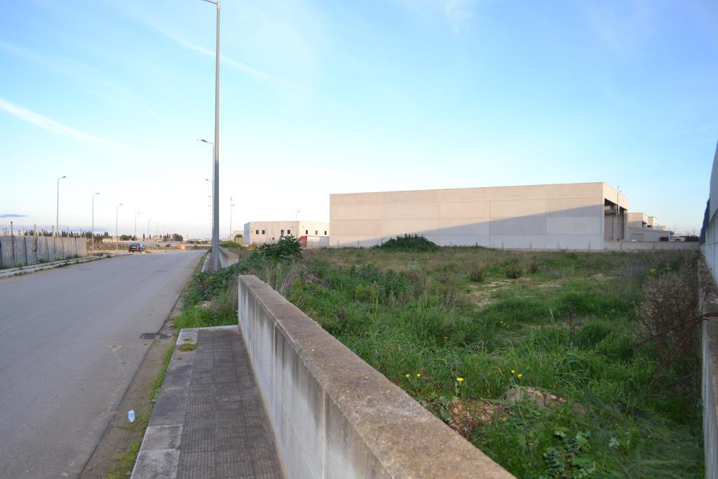 immagine annuncio 2 di 6