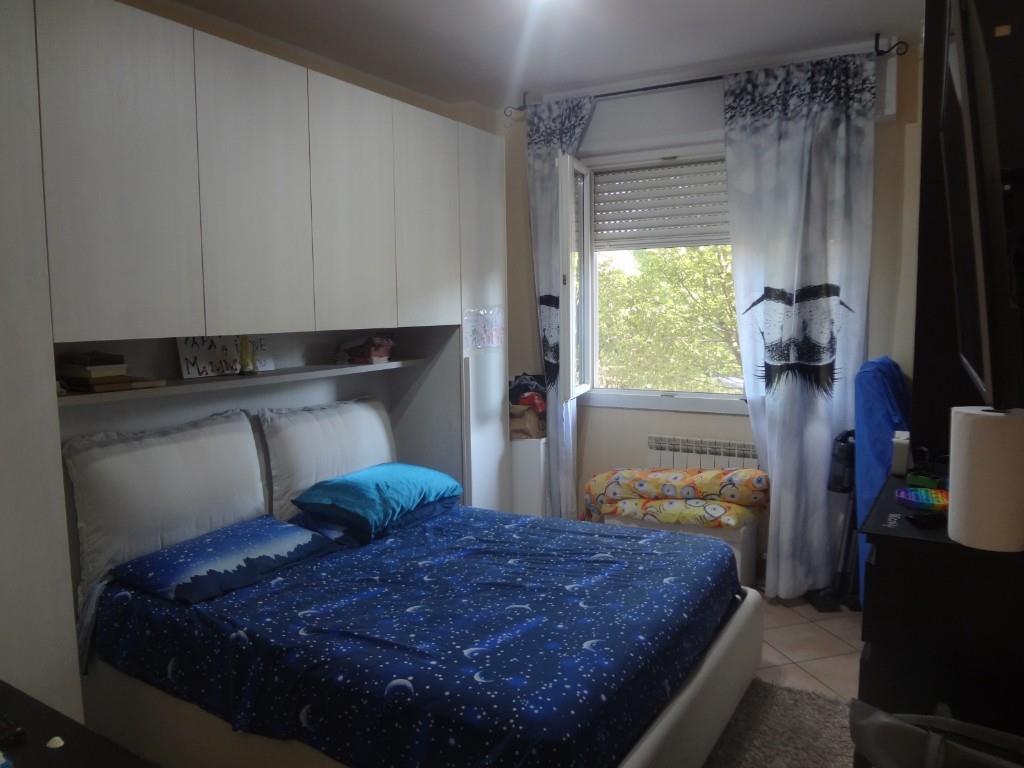 immagine annuncio 2 di 7