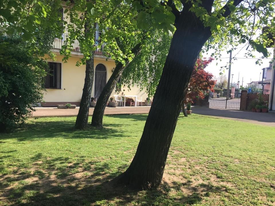 immagine annuncio 1 di 7