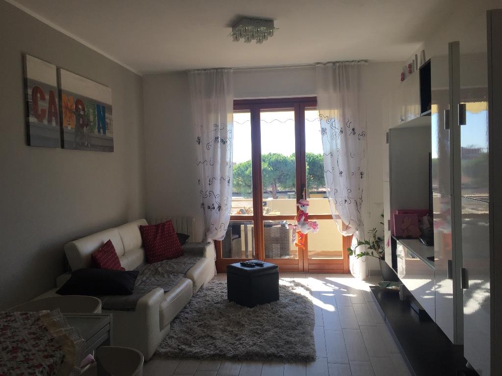 immagine annuncio 2 di 7